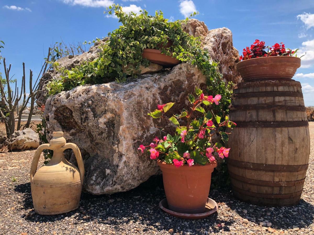 Masseria Paglieroni Martina Franca Eksteriør billede